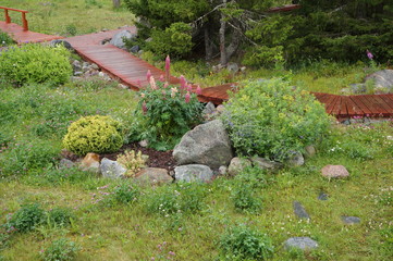 Small flowerbed among the stones