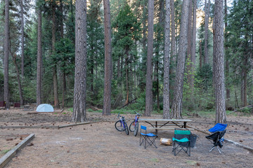 camping in park