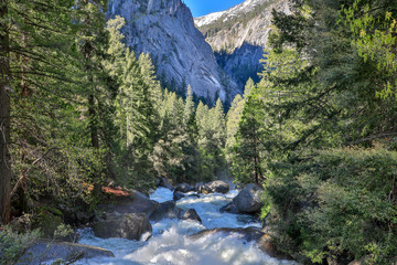 waterfall in the forest