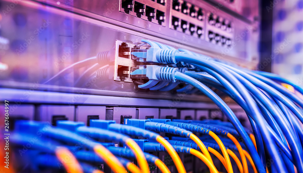Wall mural server rack with blue and red internet patch cord cables connected to black patch panel in data serv