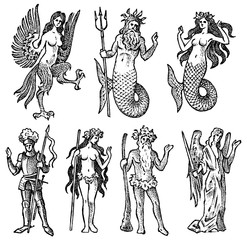 Mythical creature for Heraldry in vintage style. Engraved coat of arms with animals, birds, fish, harpy, knight. Medieval Emblems and the logo of the fantasy kingdom.