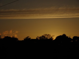 Parco, alberi, nuvole, fiori a Roma