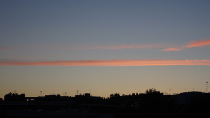 Parco, alberi, nuvole, fiori a Roma