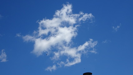 Parco, alberi, nuvole, fiori a Roma