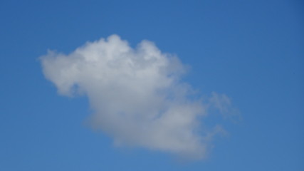 Parco, alberi, nuvole, fiori a Roma