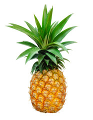 pineapple  isolate on white background,Clipping Path