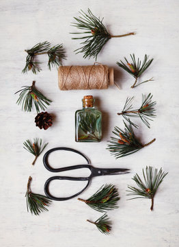 healthy plants,pine buds and shoots, bottle of tincture or infusion. Top view. Herbal medicine concept