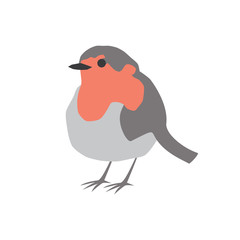 Robin bird vector portrait