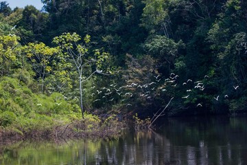 lake in the forest lago do cuni&atilde; 