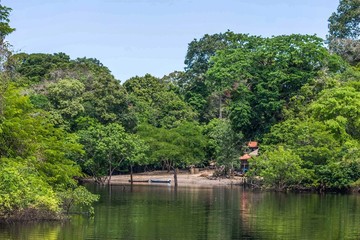 river in the park