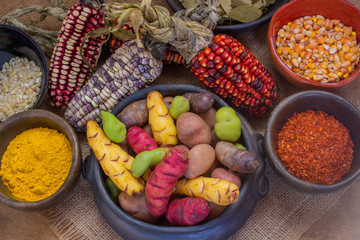 Andean Potatoes and corn Varieties