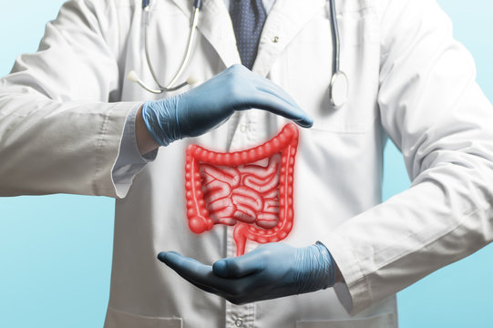 Image of a doctor in a white coat and bowel above his hands. Concept of healthy bowel.