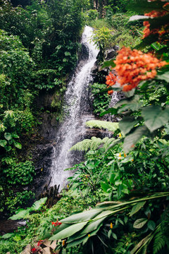 Gitgit waterfall at Bali, Indonesia