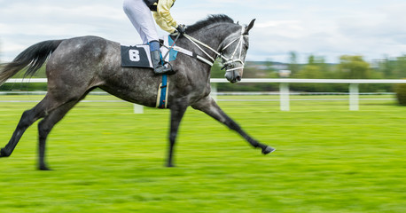 Detail of single jockey on horse racing