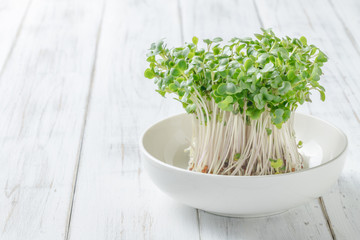 ブロッコリースプラウト