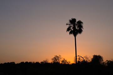 Fototapeta na wymiar Sonnenuntergang im Paradies 