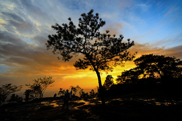 Fototapeta na wymiar Phu Kradueng National Park