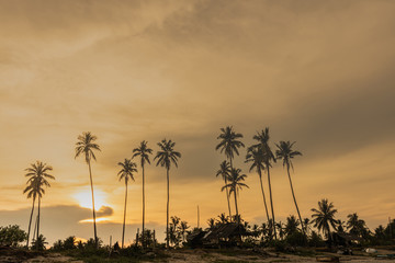 Fototapeta na wymiar Hut and Coconut tree on time colorful sunset.