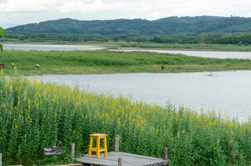 landscape with lake