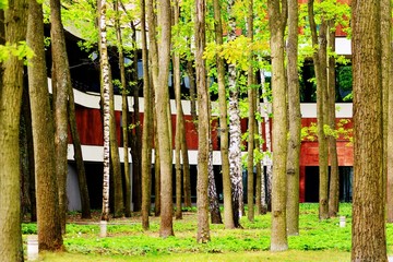 View of contemporary glass building with green trees