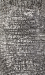 Close up picture of a palm tree trunk, natural background or texture, selective focus.