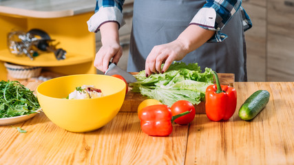 Vegetarian daily nutrition. Healthy lifestyle. Closeup of female hands making salad with fresh organic vegetables.