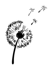 Dandelion plant silhouette. Contour suitable for cutting vinyl sticker. Vector ink illustration
