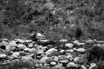 couch and stones on the beach