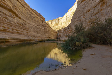 Fototapeta na wymiar Canyon of Ein Avdat National Park, the Negev Desert