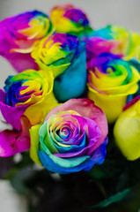 Obraz na płótnie Canvas Photo of rainbow-colored roses