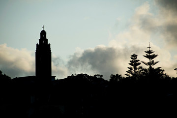 Sydney Sunset Silhouette