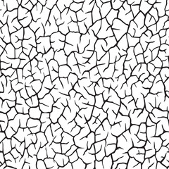  Seamless pattern.The cracks texture white and black. Vector background. For design and decorate path, wall, backdrop. Endless  stone texture.