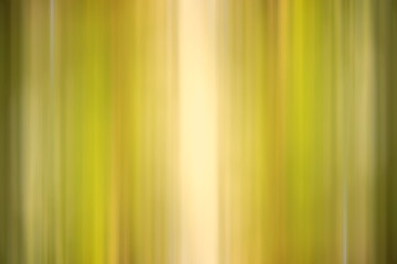 green gradient background / abstract blurry fresh green background