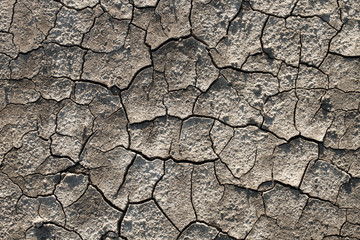 yellow dry land