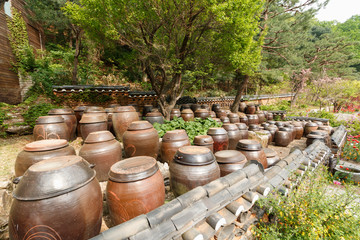 항아리가 가득한 장독대 풍경