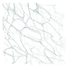 marble texture pattern on white  background
