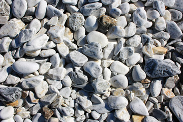 White smooth stones on the seashore