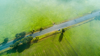 Road running through farmland in a foggy morning. Auckland, New Zealand