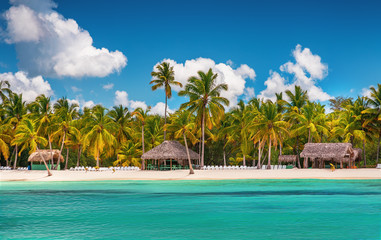 Palmtree and tropical beach. Island Saona, Dominican Republic.