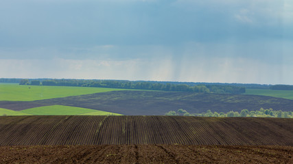 Rain over the agricultural fields, heavy stormy clouds slowly water fields