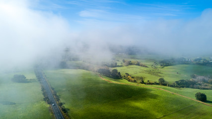 Road running through farmland in a foggy morning. Auckland, New Zealand