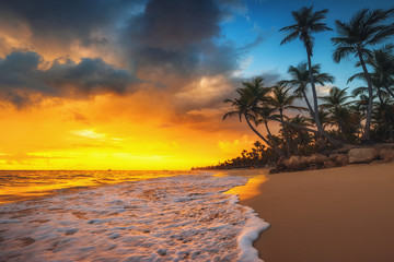 Landscape of paradise tropical island beach, sunrise shot