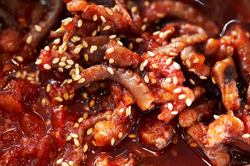 Korean spicy salted fermented seafood 