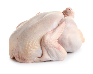 Fresh raw whole turkey on white background