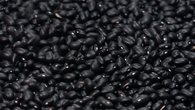 black bean falling from top in slow motion 96 fps