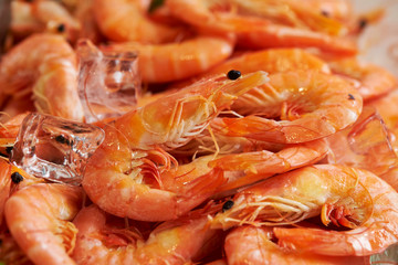 Boiled shrimps with ice cubes 