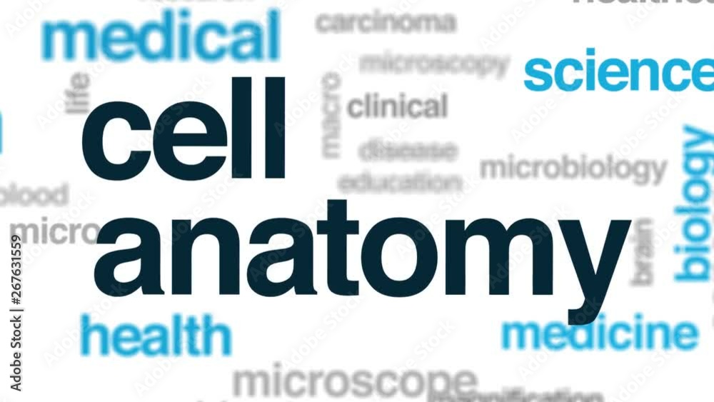 Sticker cell anatomy animated word cloud. kinetic typography.