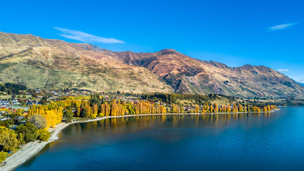 Small town surrounded by yellow autumn trees on a shore of pristine lake with mountains on the background. Wanaka, Otago, South Island, New Zealand