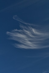 blue sky with clouds,white,weather, air, day, atmosphere,cloudscape,cirrus,