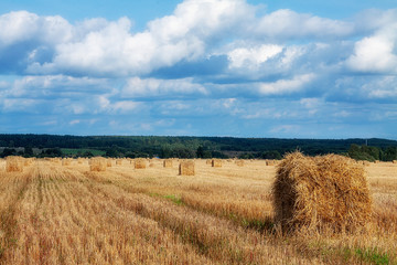 Rural landscapes. Rolls of haystacks on the field. Summer farm scenery with haystack on the background of forest, Agriculture Concept, Harvest concept